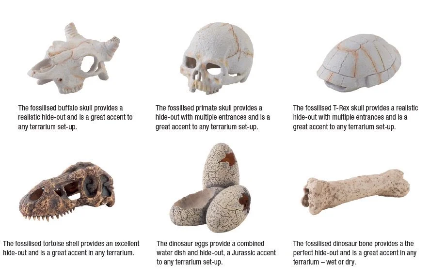 Exo Terra Dinosaur knogle lille